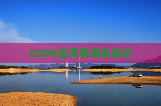 CSDN盗博客现象探析
